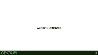 13
MICRONUTRIENTES
 