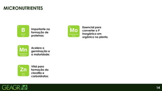 14
MICRONUTRIENTES
Vital para
formação da
clorofila e
carboidratos;
Acelera a
germinação e
a maturidade;
Essencial para
converter o P
inorgânico em
orgânico na planta.
Importante na
formação de
proteínas;
 
