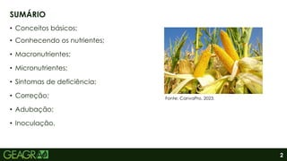 2
• Conceitos básicos;
• Conhecendo os nutrientes;
• Macronutrientes;
• Micronutrientes;
• Sintomas de deficiência;
• Correção;
• Adubação;
• Inoculação.
SUMÁRIO
Fonte: CanvaPro, 2023.
 