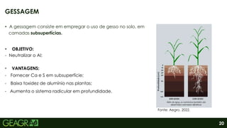 20
• A gessagem consiste em empregar o uso de gesso no solo, em
camadas subsuperfícias.
GESSAGEM
• VANTAGENS:
- Fornecer Ca e S em subsuperfície;
- Baixa toxidez de alumínio nas plantas;
- Aumenta o sistema radicular em profundidade.
• OBJETIVO:
- Neutralizar o Al;
Fonte: Aegro, 2022.
 