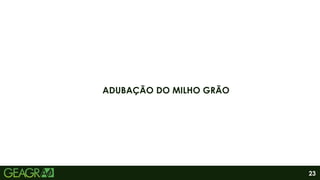 23
ADUBAÇÃO DO MILHO GRÃO
 