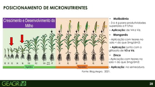 28
POSICIONAMENTO DE MICRONUTRIENTES
• Molibdênio
- 3 a 4 g para produtividades
superiores a 9 t/ha:
- Aplicação: de V4 a V6;
• Manganês
- Aplicação com teores no
solo < do que 5mg/dm3;
- Aplicação: junto com o
glifosato de V3 a V6;
• Zinco
- Aplicação com teores no
solo < do que 5mg/dm3;
- Aplicação: na semeadura.
Fonte: Blog.Aegro, 2021.
 