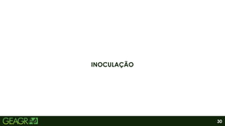 30
INOCULAÇÃO
 
