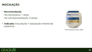 33
INOCULAÇÃO
• Recomendação
- Na semeadura: 1 dose;
- No sulco/pulverização: 2 doses;
• Indicado: inoculação + adubação mineral de
cobertura.
Fonte: Brenda Larissa, 2023.
 