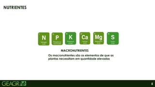 5
NUTRIENTES
MACRONUTRIENTES
Os macronutrientes são os elementos de que as
plantas necessitam em quantidade elevadas
 