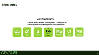 6
NUTRIENTES
MICRONUTRIENTES
Os micronutrientes, são aqueles dos quais as
plantas precisam em quantidade pequena
 