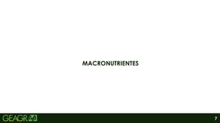 7
MACRONUTRIENTES
 