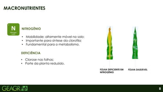 8
MACRONUTRIENTES
FOLHA DEFICIENTE EM
NITROGÊNIO
FOLHA SAUDÁVEL
DEFICIÊNCIA
• Mobilidade: altamente móvel no solo;
• Importante para síntese da clorofila;
• Fundamental para o metabolismo.
NITROGÊNIO
• Clorose nas folhas;
• Porte da planta reduzido.
 