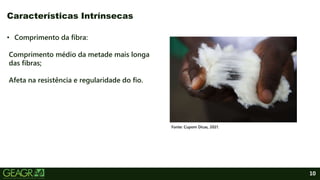 10
• Comprimento da fibra:
Comprimento médio da metade mais longa
das fibras;
Afeta na resistência e regularidade do fio.
Características Intrínsecas
Fonte: Cupom Dicas, 2021.
 