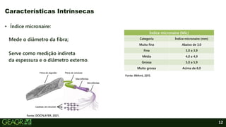 12
• Índice micronaire:
Mede o diâmetro da fibra;
Serve como medição indireta
da espessura e o diâmetro externo.
Características Intrínsecas
Índice micronaire (Mic)
Categoria Índice micronaire (mm)
Muito fina Abaixo de 3,0
Fina 3,0 a 3,9
Média 4,0 a 4,9
Grossa 5,0 a 5,9
Muito grossa Acima de 6,0
Fonte: DOCPLAYER, 2021.
Fonte: IMAmt, 2015.
 