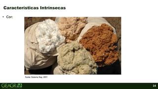 14
Características Intrínsecas
Fonte: Sistema fiep, 2017.
• Cor:
 