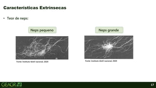 17
• Teor de neps:
Características Extrínsecas
Fonte: Instituto têxtil nacional, 2020.
Fonte: Instituto têxtil nacional, 2020.
Neps pequeno Neps grande
 