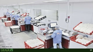 19
Fonte: Abapa, 2021.
 