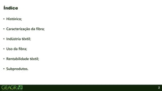 2
• Histórico;
• Caracterização da fibra;
• Indústria têxtil;
• Uso da fibra;
• Rentabilidade têxtil;
• Subprodutos.
Índice
 