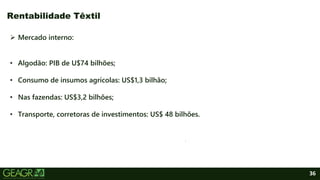 36
 Mercado interno:
• Algodão: PIB de U$74 bilhões;
• Consumo de insumos agrícolas: US$1,3 bilhão;
• Nas fazendas: US$3,2 bilhões;
• Transporte, corretoras de investimentos: US$ 48 bilhões.
Rentabilidade Têxtil
.
 