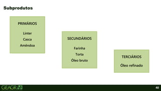 40
Subprodutos
PRIMÁRIOS
Línter
Casca
Amêndoa
SECUNDÁRIOS
Farinha
Torta
Óleo bruto
TERCIÁRIOS
Óleo refinado
 