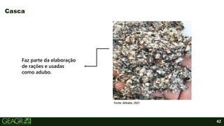 42
Casca
Faz parte da elaboração
de rações e usadas
como adubo.
Fonte: Alibaba, 2021.
 