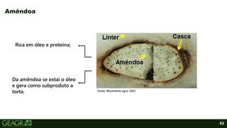 43
Amêndoa
Fonte: Movimento agro, 2021.
Rica em óleo e proteína;
Da amêndoa se extai o óleo
e gera como subproduto a
torta.
 
