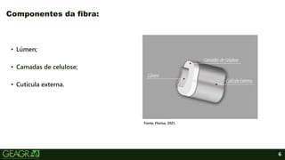 6
• Lúmen;
• Camadas de celulose;
• Cutícula externa.
Componentes da fibra:
Fonte: Florisa, 2021.
 