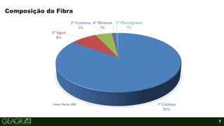 7
Composição da Fibra
Fonte: Florisa, 2021
 
