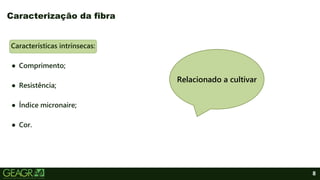 8
Características intrínsecas:
● Comprimento;
● Resistência;
● Índice micronaire;
● Cor.
Caracterização da fibra
Relacionado a cultivar
 