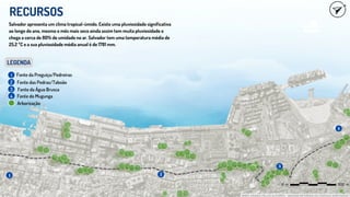RECURSOS
2 Fonte da Preguiça/Pedreiras
Fonte da Água Brusca
Fonte do Mugunga
LEGENDA
1
Fonte das Pedras/Taboão
2
3
4
Arborização
1 2
3
4
MAPA CRIADO PELOS AUTORES - IMAGEM RETIRADA DO GOOGLE EARTH/2023
Salvador apresenta um clima tropical-úmido. Existe uma pluviosidade significativa
ao longo do ano, mesmo o mês mais seco ainda assim tem muita pluviosidade e
chega a cerca de 80% de umidade no ar. Salvador tem uma temperatura média de
25.2 °C e a sua pluviosidade média anual é de 1781 mm.
 