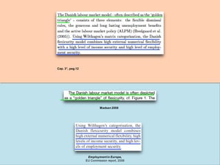 Employmentin Europe,
EU Commission report, 2006
Madsen 2008
Cap. 3°, pag.12
 