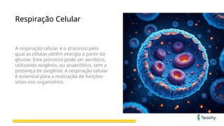 Respiração Celular
A respiração celular é o processo pelo
qual as células obtêm energia a partir da
glicose. Este processo pode ser aeróbico,
utilizando oxigênio, ou anaeróbico, sem a
presença de oxigênio. A respiração celular
é essencial para a realização de funções
vitais nos organismos.
 