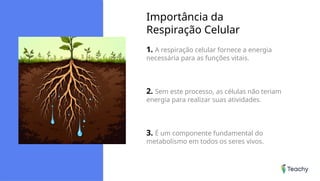 Importância da
Respiração Celular
1. A respiração celular fornece a energia
necessária para as funções vitais.
2. Sem este processo, as células não teriam
energia para realizar suas atividades.
3. É um componente fundamental do
metabolismo em todos os seres vivos.
 