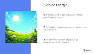 Ciclo de Energia
1. A energia solar é convertida em energia
química pelas plantas.
2. Os herbívoros consomem essas plantas para
obter energia.
3. Os carnívoros obtêm energia ao se
alimentarem de herbívoros.
 
