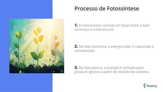 Processo de Fotossíntese
1. A fotossíntese consiste em duas fases: a fase
luminosa e a fase escura.
2. Na fase luminosa, a energia solar é capturada e
armazenada.
3. Na fase escura, a energia é utilizada para
produzir glicose a partir do dióxido de carbono.
 