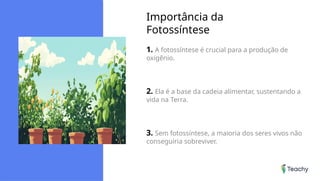 Importância da
Fotossíntese
1. A fotossíntese é crucial para a produção de
oxigênio.
2. Ela é a base da cadeia alimentar, sustentando a
vida na Terra.
3. Sem fotossíntese, a maioria dos seres vivos não
conseguiria sobreviver.
 