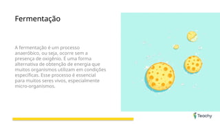 Fermentação
A fermentação é um processo
anaeróbico, ou seja, ocorre sem a
presença de oxigênio. É uma forma
alternativa de obtenção de energia que
muitos organismos utilizam em condições
específicas. Esse processo é essencial
para muitos seres vivos, especialmente
micro-organismos.
 