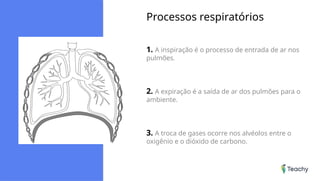 Slide_Organização de Sistemas do Corpo Humano.pptx