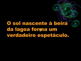 O sol nascente à beira
da lagoa forma um
verdadeiro espetáculo.
 