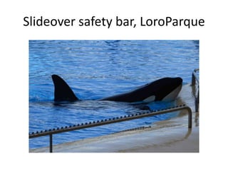 Slideover safety bar, LoroParque 