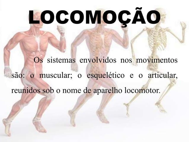 Fisiologia: Locomoção | PPTX