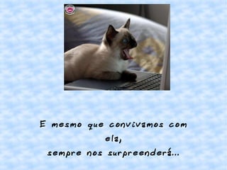 E mesmo que convivamos com
ela,
sempre nos surpreenderá...
 