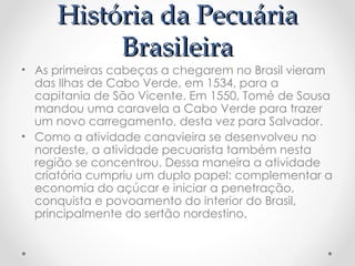 História da Pecuária
História da Pecuária
Brasileira
Brasileira
• As primeiras cabeças a chegarem no Brasil vieram
das Ilhas de Cabo Verde, em 1534, para a
capitania de São Vicente. Em 1550, Tomé de Sousa
mandou uma caravela a Cabo Verde para trazer
um novo carregamento, desta vez para Salvador.
• Como a atividade canavieira se desenvolveu no
nordeste, a atividade pecuarista também nesta
região se concentrou. Dessa maneira a atividade
criatória cumpriu um duplo papel: complementar a
economia do açúcar e iniciar a penetração,
conquista e povoamento do interior do Brasil,
principalmente do sertão nordestino.
 