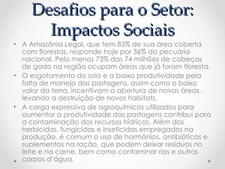 Desafios para o Setor:
Desafios para o Setor:
Impactos Sociais
Impactos Sociais
• A Amazônia Legal, que tem 83% de sua área coberta
com florestas, responde hoje por 36% da pecuária
nacional. Pelo menos 73% das 74 milhões de cabeças
de gado na região ocupam áreas que já foram floresta.
• O esgotamento do solo e a baixa produtividade pela
falta de manejo das pastagens, assim como o baixo
valor da terra, incentivam a abertura de novas áreas ,
levando a destruição de novos habitats.
• A carga expressiva de agroquímicos utilizados para
aumentar a produtividade das pastagens contribui para
a contaminação dos recursos hídricos. Além dos
herbicidas, fungicidas e inseticidas empregados na
produção, é comum o uso de hormônios, antibióticos e
suplementos na ração, que podem deixar resíduos no
leite e na carne, bem como contaminar rios e outros
corpos d’água.
 