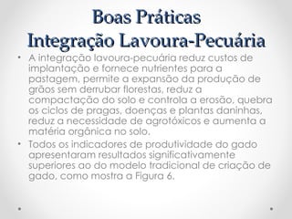 Boas Práticas
Boas Práticas
Integração Lavoura-Pecuária
Integração Lavoura-Pecuária
• A integração lavoura-pecuária reduz custos de
implantação e fornece nutrientes para a
pastagem, permite a expansão da produção de
grãos sem derrubar florestas, reduz a
compactação do solo e controla a erosão, quebra
os ciclos de pragas, doenças e plantas daninhas,
reduz a necessidade de agrotóxicos e aumenta a
matéria orgânica no solo.
• Todos os indicadores de produtividade do gado
apresentaram resultados significativamente
superiores ao do modelo tradicional de criação de
gado, como mostra a Figura 6.
 