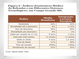 slidepecuariabrasileira-