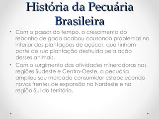 História da Pecuária
História da Pecuária
Brasileira
Brasileira
• Com o passar do tempo, o crescimento do
rebanho de gado acabou causando problemas no
interior das plantações de açúcar, que tinham
parte de sua plantação destruída pela ação
desses animais.
• Com o surgimento das atividades mineradoras nas
regiões Sudeste e Centro-Oeste, a pecuária
ampliou seu mercado consumidor estabelecendo
novas frentes de expansão no Nordeste e na
região Sul do território.
 