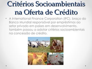 Critérios Socioambientais
  na Oferta de Crédito
• A International Finance Corporation (IFC), braço do
  Banco Mundial responsável por empréstimos ao
  setor privado em países em desenvolvimento,
  também passou a adotar critérios socioambientais
  na concessão de crédito.
 