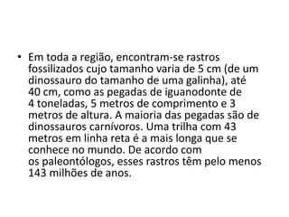 • Em toda a região, encontram-se rastros
fossilizados cujo tamanho varia de 5 cm (de um
dinossauro do tamanho de uma galinha), até
40 cm, como as pegadas de iguanodonte de
4 toneladas, 5 metros de comprimento e 3
metros de altura. A maioria das pegadas são de
dinossauros carnívoros. Uma trilha com 43
metros em linha reta é a mais longa que se
conhece no mundo. De acordo com
os paleontólogos, esses rastros têm pelo menos
143 milhões de anos.
 