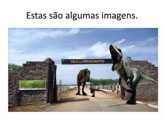 Estas são algumas imagens.
 