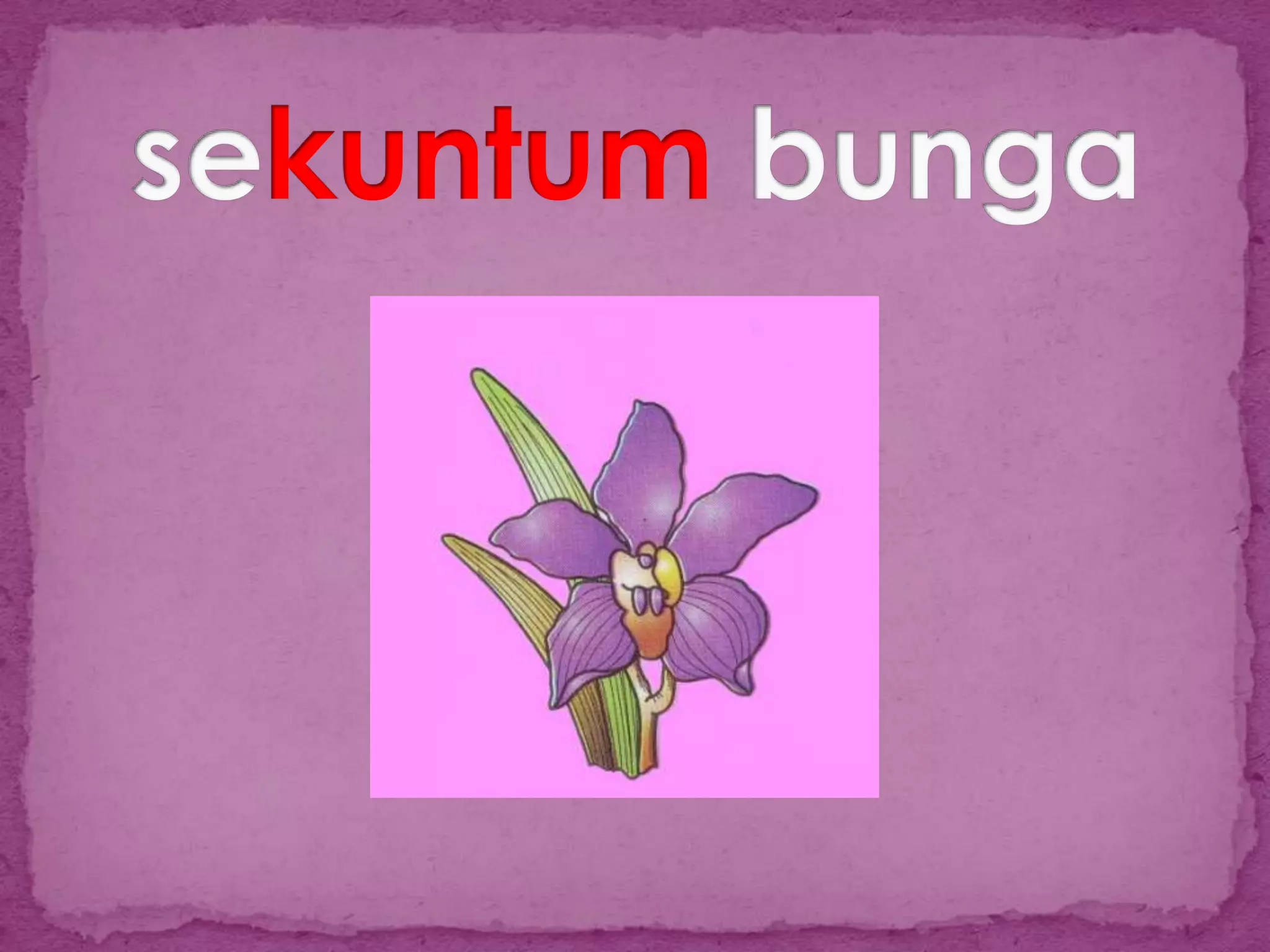 Slide penjodoh bilangan