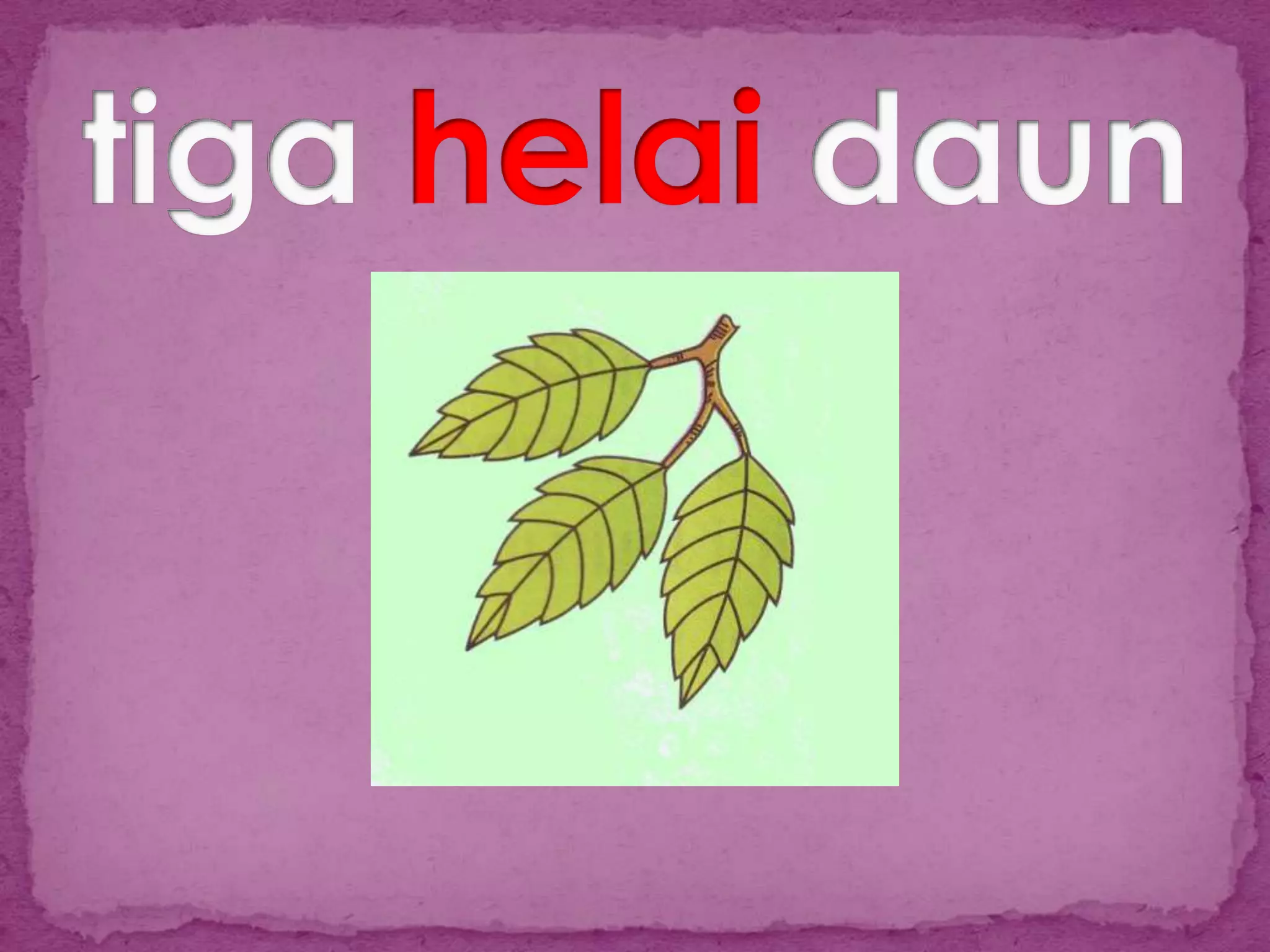 Slide penjodoh bilangan