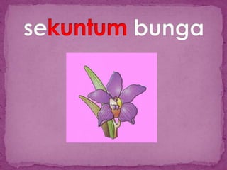 Slide penjodoh bilangan