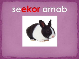 Slide penjodoh bilangan